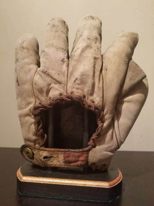 Spalding Full Web King Patent Back