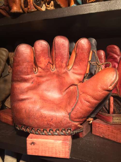 Goose Goslin Columbus Cycle Co. 379 Front