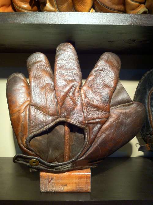 A.J. Reach Full Web Brown Back